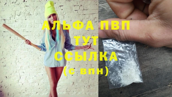 дмт Лабытнанги