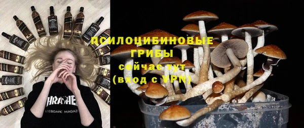 дмт Лабытнанги