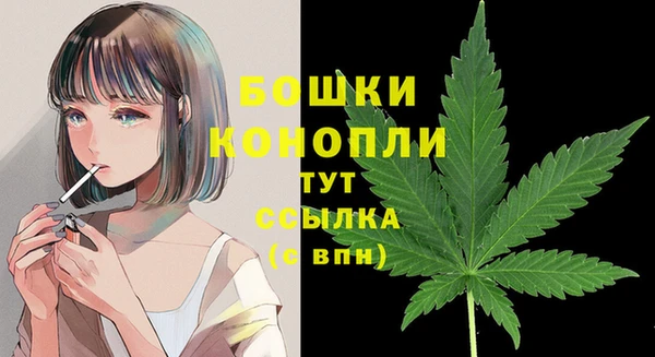 дмт Лабытнанги