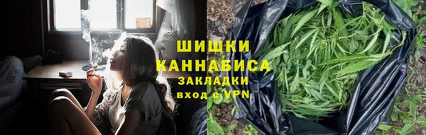 дмт Лабытнанги